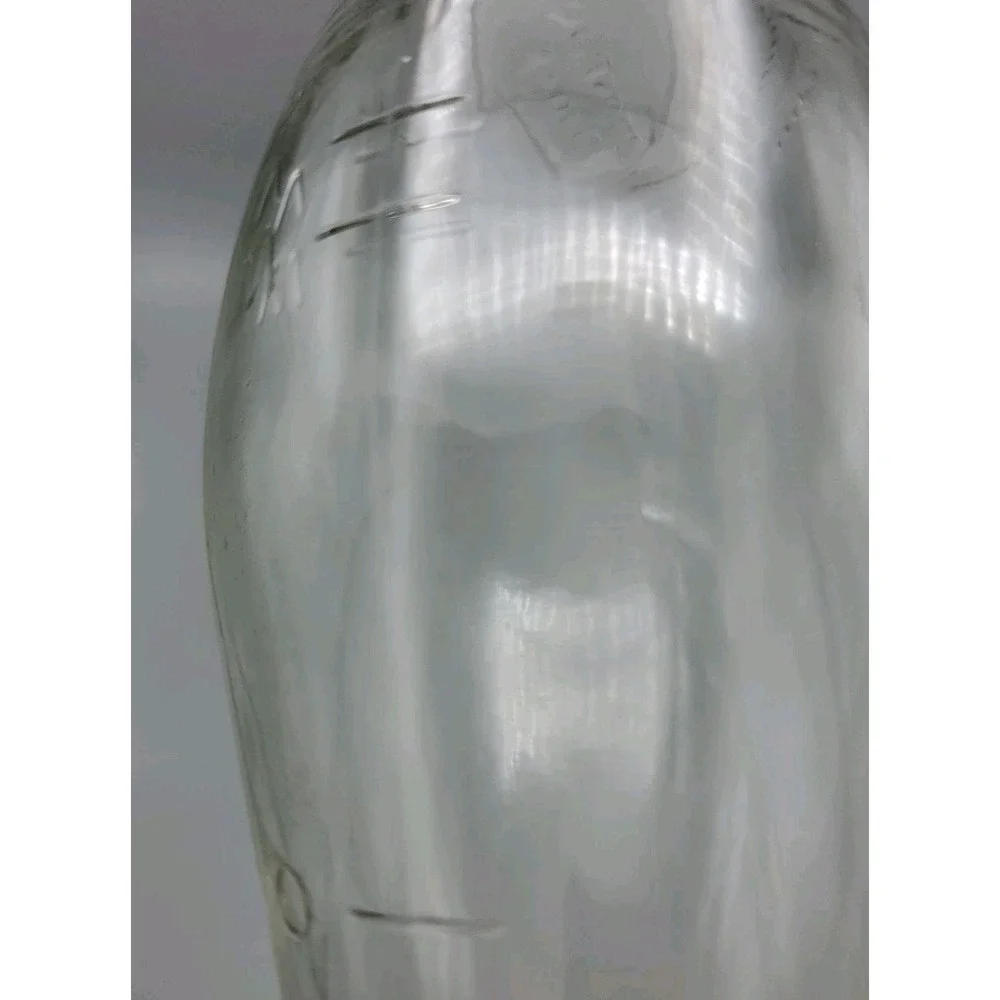 Good Seasons‎ Glass Cruet with Markings For Oil Vinegar Water and Top